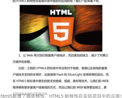 html5新增了哪些特性，HTML5 新特性在实际项目中的应用！