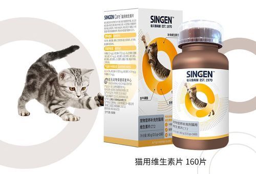 猫吃什么补充维生素，英短猫的营养补充剂选择！