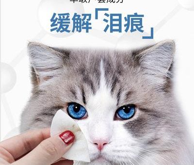 猫的泪痕用什么可以擦干净，英短猫的泪痕清洁产品推荐！